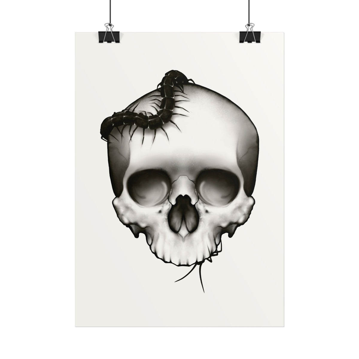 Posters